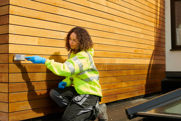 Best Storm Damage Siding Repair  in Sneads Ferry, NC